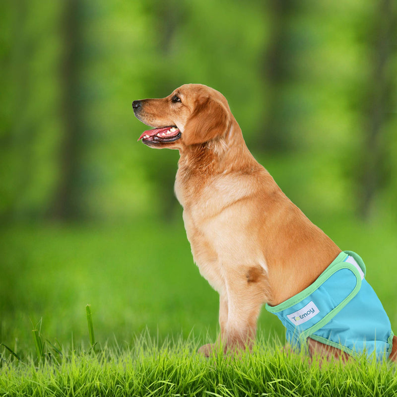 Teamoy 3Pcs Washable Female Dog Diapers, Reusable Doggie Diaper Wraps for Female Dogs, Super-Absorbent and Comfortable L2 (Pack of 3) Yellow+Purple+Blue - BeesActive Australia