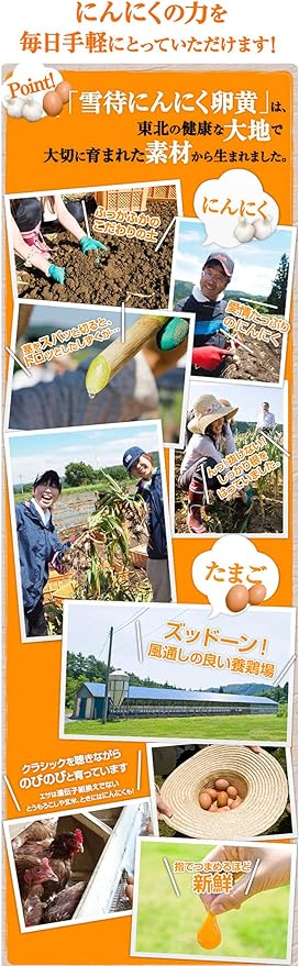 Yazuya Yukimachi Garlic Egg Yolk 300mg x 62 balls - BeesActive Australia