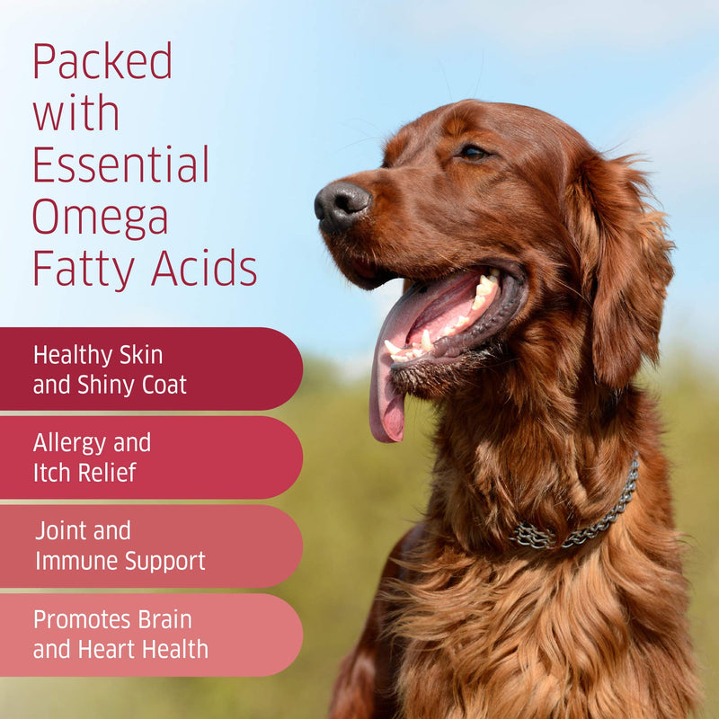 Salmon Oil for Dogs - Wild Alaskan Fish Oil for Dogs - Omega 3 for Dogs - Itch Relief for Dogs - Dog Joint Health - Dog Allergy Relief- Dog Itch Relief - 120 Dog Fish Oil Soft Chews - BeesActive Australia