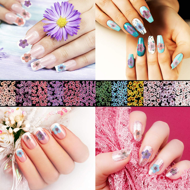 3 Boxes 36 Grids 3D Flowers for Nails 3D Nail Stickers Nail Dried Flowers Decals Nail Art Flowers Sequins for Nail Decoration DIY Crafting - BeesActive Australia