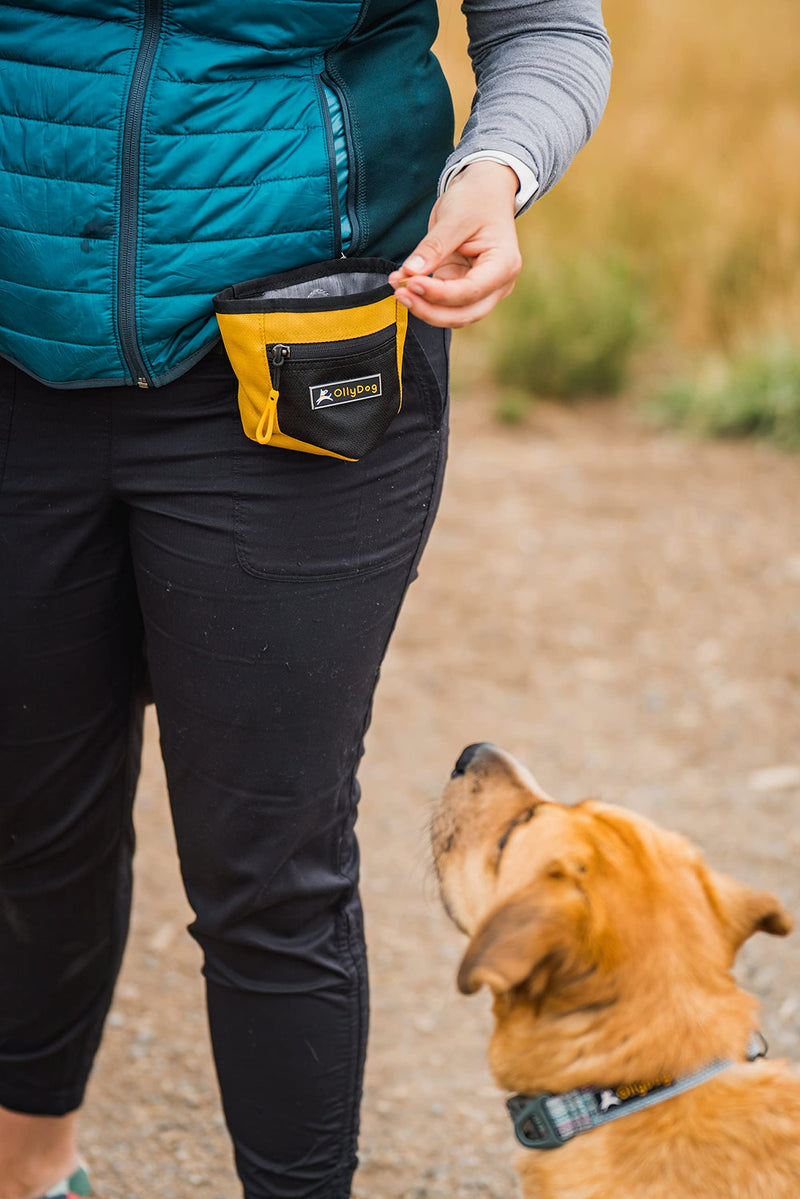 OllyDog Goodie Treat Bag, Dog Treat Pouch, Waist Belt Clip for Hands-Free Training, Magnetic Closure, Dog Training and Behavior Aids, Three Ways to Wear Raven - BeesActive Australia