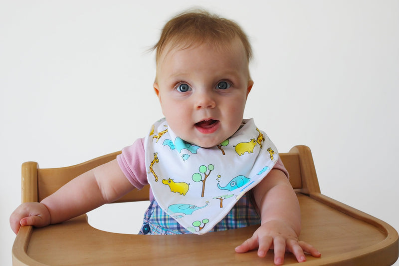 Premium Baby Bandana Bibs, 100% Organic Cotton, Set of 5 Unique Designs (Boys Set) Boys Set - BeesActive Australia