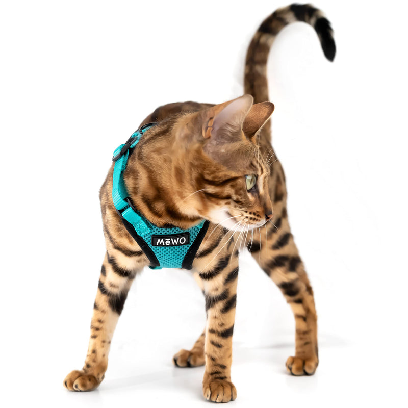 Mewo Cat Harness and Leash - Soft, Comfortable, Reflective, Sleek, & Adjustable, for a Safe & Snug Fit Extra Small - Kitten - BeesActive Australia
