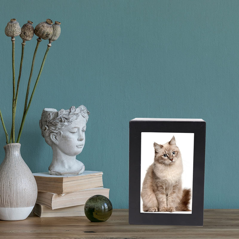 NEWDREAM:pet Cremation Box with Photo Frame,Dog urns for Ashes,pet Urns, Dog Cremation Box for Ashes, Pet Ashes Photo Box,Ash Box for Cat or Dog, Wood Keepsake Memorial Urns. (Black) black S - BeesActive Australia