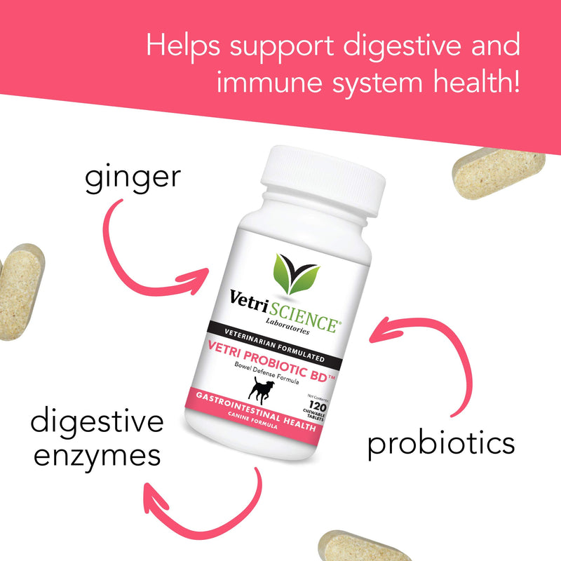 VetriScience Vetri Probiotic Bowel Defense and GI Support Supplement for Dogs, 120 Tablets - BeesActive Australia