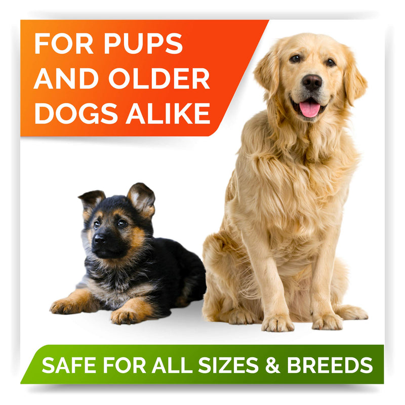 Fish Oil Omega 3 Treats for Dogs - Allergy and Itch Relief - Skin and Coat Supplement - Joint Health - Wild Alaskan Salmon Oil - Shedding, Itchy Skin Relief - Omega 3 6 9 - EPA & DHA 180 Treats - BeesActive Australia