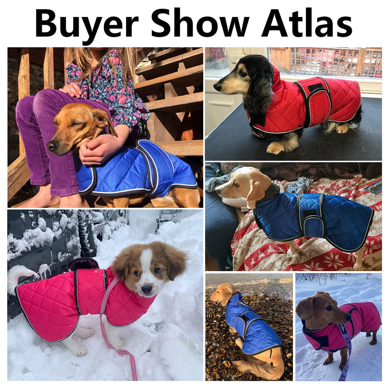 Geyecete Warm Thermal Quilted Dachshund Coat, Dog Winter Coat with Warm Fleece Lining, Outdoor Dog Apparel with Adjustable Bands for Medium, Large Dog Small Pink - BeesActive Australia