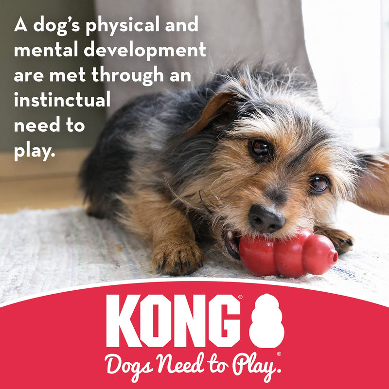 KONG - Dental with Rope - Durable Rubber, Teeth and Gum Cleaning Dog Toy Medium Standard Packaging - BeesActive Australia