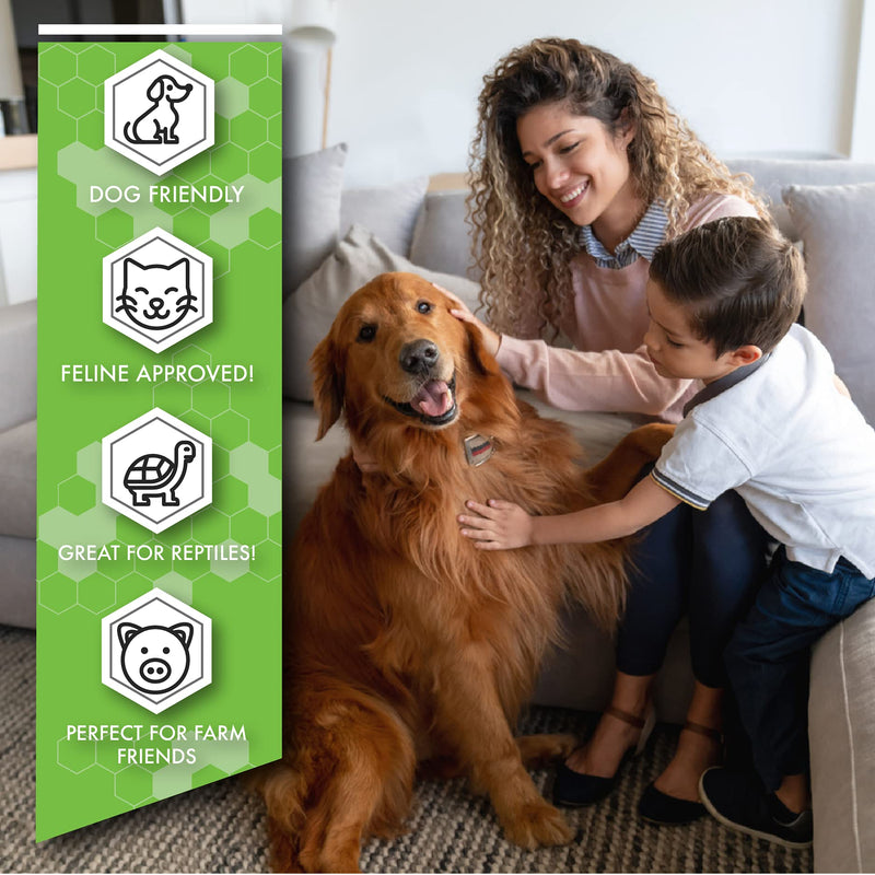 deSTINKed Life Combo: Human & Pet Odor Eliminator | 24oz each | Made in USA - BeesActive Australia