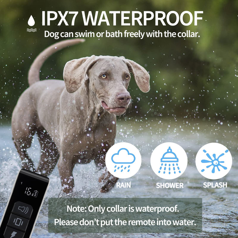 PETPIK Dog Training Collar, Long Remote Range and 3 Modes - Beep, Vibration, Shock, Waterproof Rechargeable Shock Collar for Small, Medium, Large Dogs - BeesActive Australia