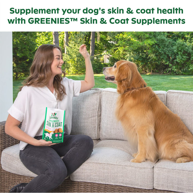 Greenies Dog Treats 13.200 Other - BeesActive Australia