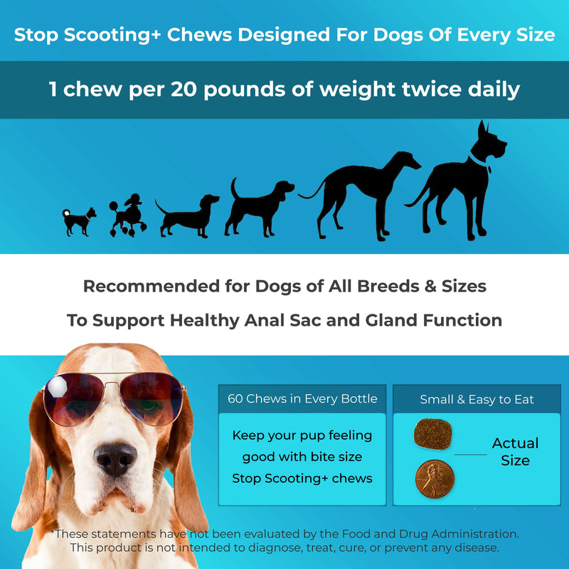 PawMedica Stop Scooting Chews for Dogs - AnalGland Dog Constipation Chews - Recommended Dog Digestive Chews - Pumpkin for Dog Anal Gland Function - Anal Gland Supplement for Dogs 60 No Scooting Chews - BeesActive Australia