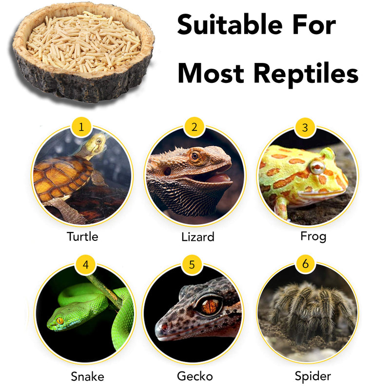 CalPalmy 2 Pack Reptile Food Bowls - Reptile Water and Food Bowls, Novelty Food Bowl for Lizards, Young Bearded Dragons, Small Snakes and More - Made from Non-Toxic, BPA-Free Plastic 4" x 4" x 0.9" - BeesActive Australia