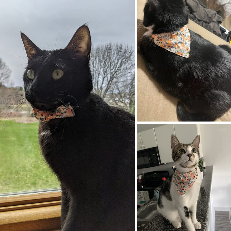 ADOGGYGO Cat Collar Breakaway with Cute Bow Tie Bell - 2 Pack Kitten Collar with Removable Bowtie Different Pattern Cat Bowtie Collar for Cat Kitten Orange Floral - BeesActive Australia
