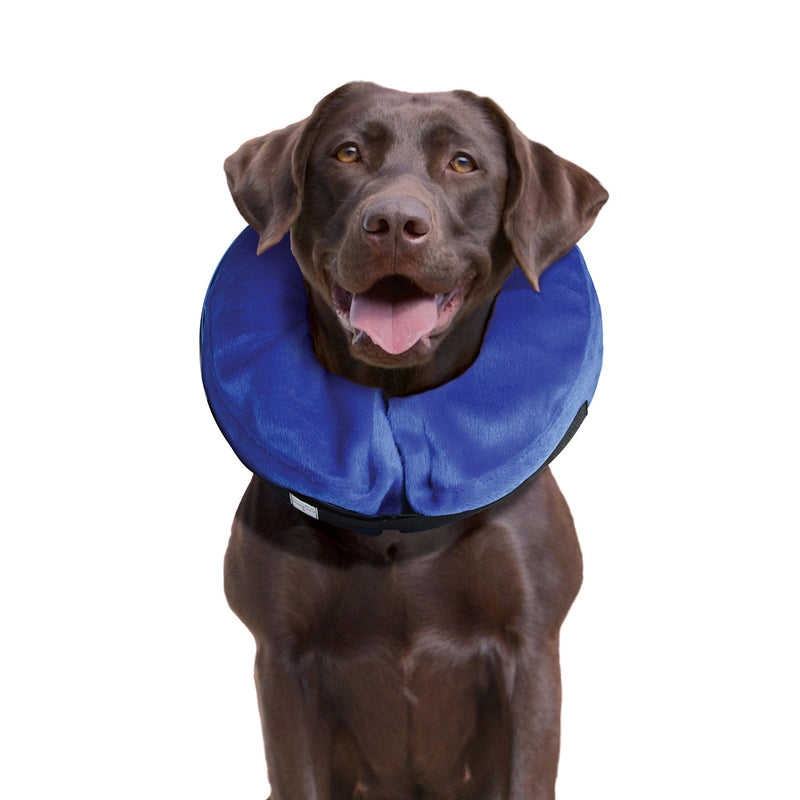 KONG - Cloud Collar - Plush, Inflatable E-Collar - for Injuries, Rashes and Post Surgery Recovery Large Standard Packaging - BeesActive Australia