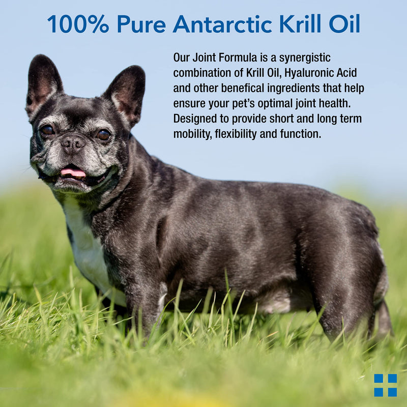 Animal Pharmaceuticals Krillex Joint Formula & Omega 3 Krill Oil for Dogs & Cats - Glucosamine for Dogs - Chondroitin, MSM, & Hyaluronic Acid for Joint Care - Cheese Flavor Chews - 60 ct - BeesActive Australia