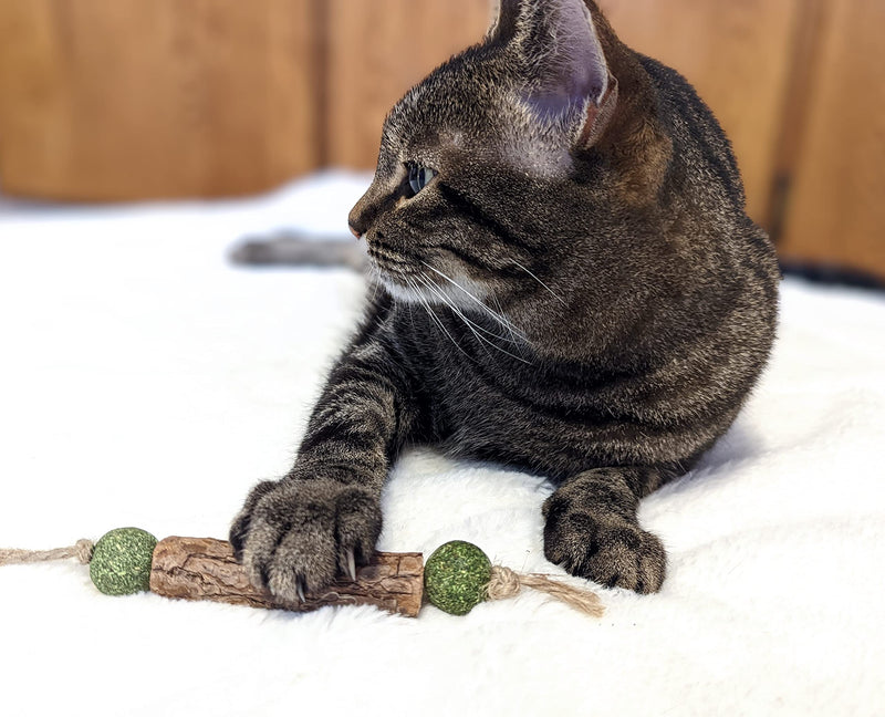 Xanderpets Silvervine for Cats Interactive Cat Toy - Catnip Toys for Anxiety Relief Cat Toy Silvervine & Cat Nips Organic Must Have Products for Cats Cat Toys for Indoor Cats Cat Chew Toy Kicker 3PK - BeesActive Australia