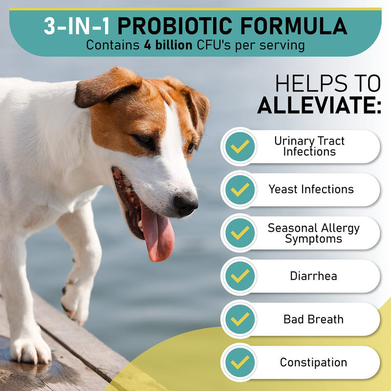 Probiotic Chews for Dogs with Pre and Probiotics - Advanced Dog Probiotics and Digestive Enzymes, Diarrhea Treatment, Itchy Skin, Upset Stomach, coprophagia, UTI's, Dog Allergy - BeesActive Australia