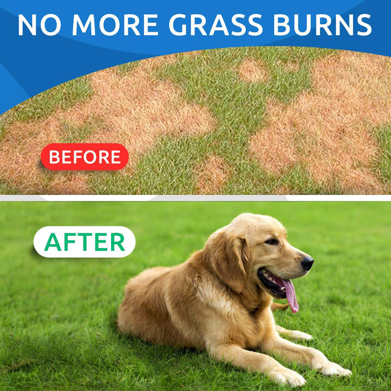 All-Natural Grass Treatment for Dog Urine - Grass Restore Treats for Dogs - Pee Lawn Repair Chews w Probiotics - Dog Urine Neutralizer Solution for Grass Burn Spots - Made in USA - 120 Chews - BeesActive Australia