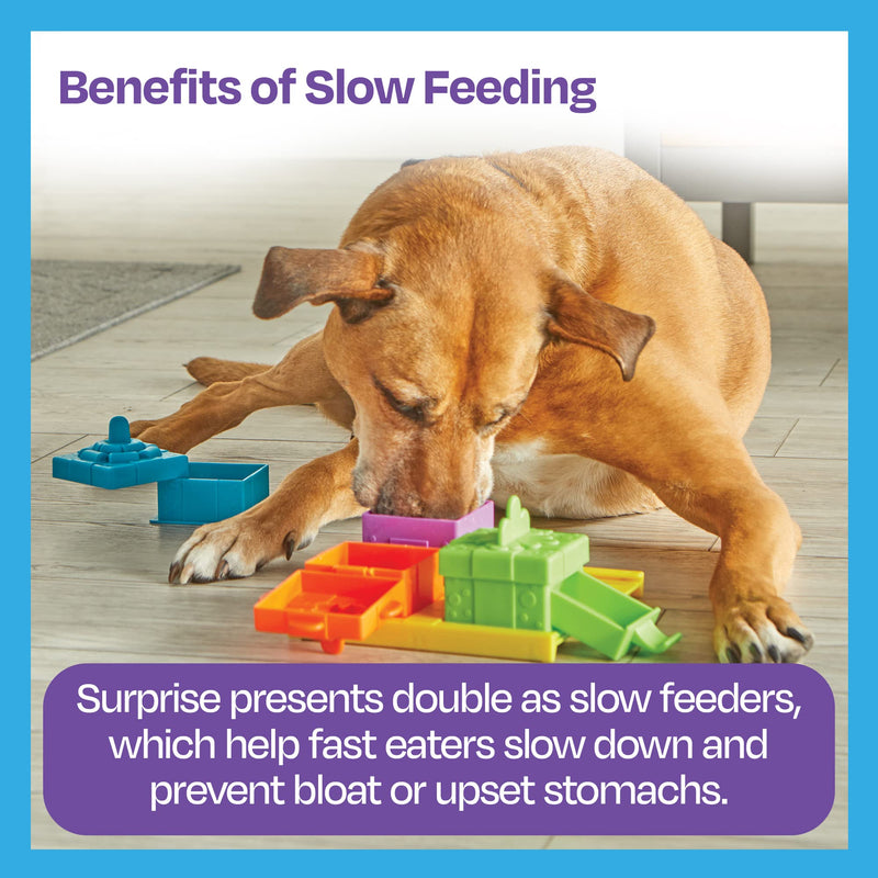 Brightkins Surprise Party Treat Puzzle - 4way Interactive Puzzle, Puzzles for Dogs, Toys for Dog Stimulation, Dog Treat Puzzles, Multicolor - BeesActive Australia