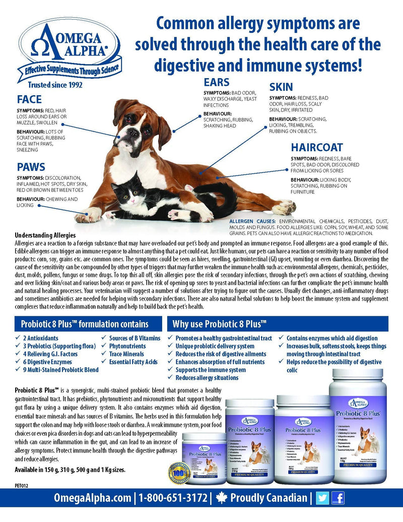 Probiotic 8 Plus 500g(1.1lbs.) - BeesActive Australia
