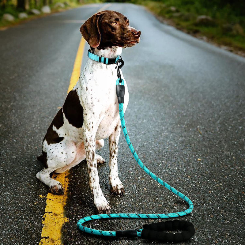 DOYOO Dog Collar and Dog Leash– Soft Neoprene Padded,Reflective and Adjustable Medium 2-Blue - BeesActive Australia