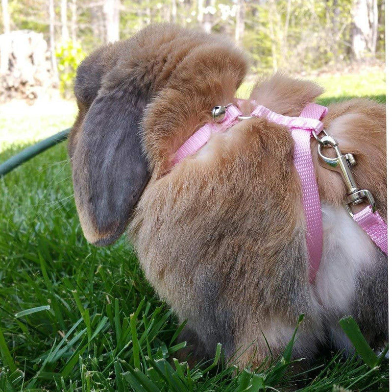 Rabbit Bunny Harness with Leash Adjustable Soft Nylon Harness Rabbit Vest Harness Lead Leash Pink Blue Lead Leash All Season for Small Animals - BeesActive Australia