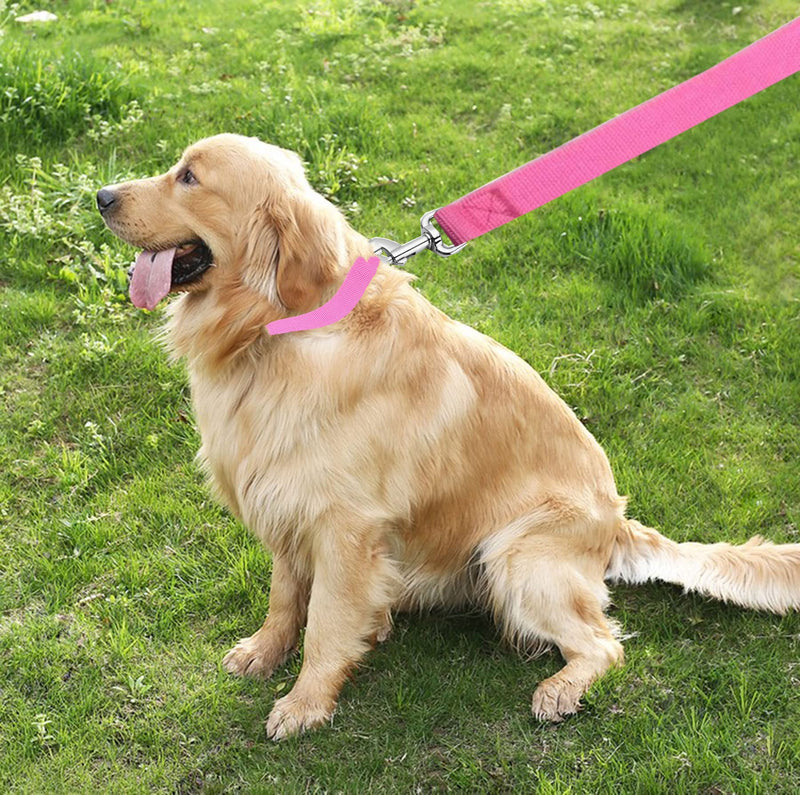 TAIAN 4FT/5FT/6FT Strong Dog Leash, Nylon Dog Leashes for Small Medium Large Dogs 1 in x 5 ft Pink - BeesActive Australia
