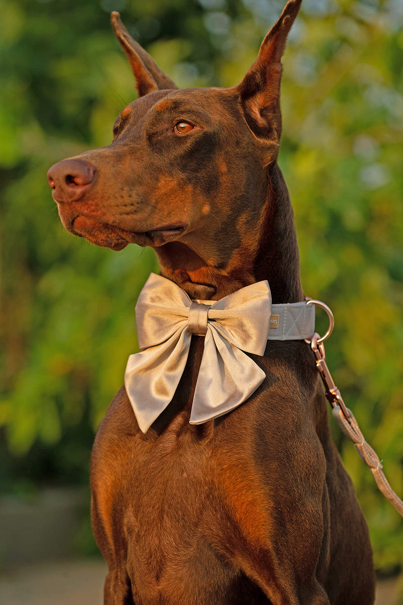 Unique style paws Silk Dog Collar Adjustable Durable Dog Collar with Bow Wedding Bowtie Collar for Small Medium Large Dogs L Wedding Champagne - BeesActive Australia