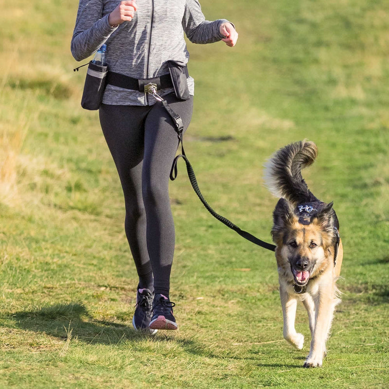 TRIXIE Hands-free Waist Belt with Leash for Walking and Jogging Medium to Large Dogs - BeesActive Australia