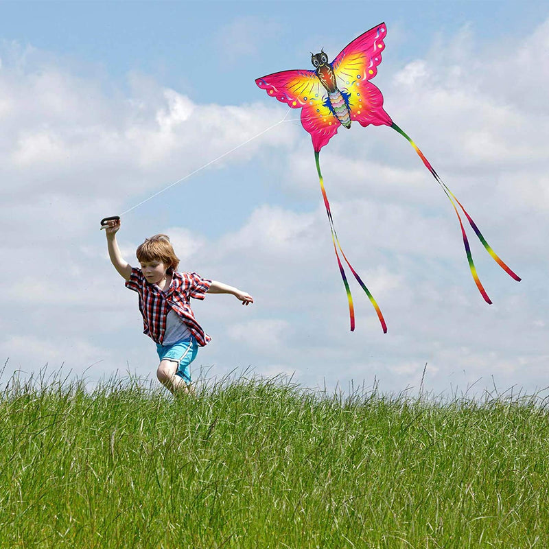 SINGARE Large Rainbow Delta and Butterfly Kites 2 Pack Easy Flyer Kites with Long Colorful Tail for Kids Adults Outdoor Game, Activities, Beach Trip, Great Gift to Kids Childhood Precious Memories - BeesActive Australia