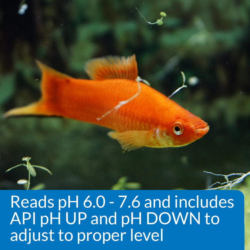 API pH TEST & ADJUSTER KIT 250-Test Freshwater Aquarium Water pH Test and Adjuster Kit (29A) - BeesActive Australia