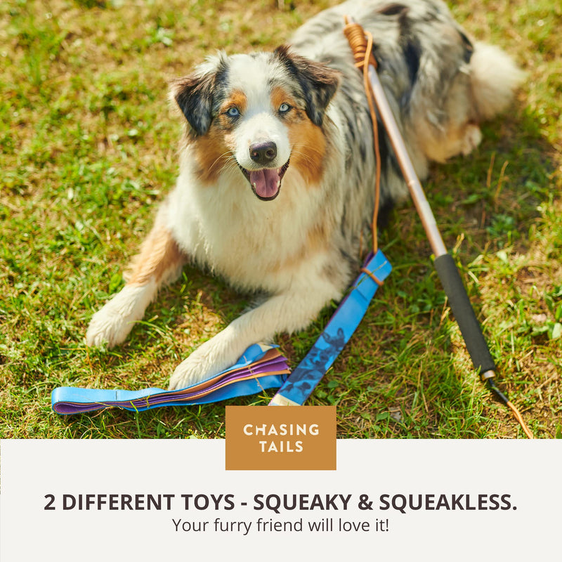 Chasing Tails Flirt Pole For Dogs Large Breed Heavy Duty - Dog Flirt Pole Teaser, Dog Exercise Equipment, Spring Pole for Dogs, Dog Training Toys Dog Flirt Pole for Large Dogs Chase Stick Catcher Pole - BeesActive Australia