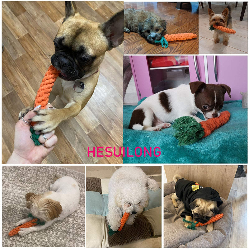Dog Toys 3 Puppy Teething Chew Toys,Dog Chew Toys Rope Toys,Cat Chew Toys,Safe Braided Rabbit Toys Healthy Gift carrots - BeesActive Australia