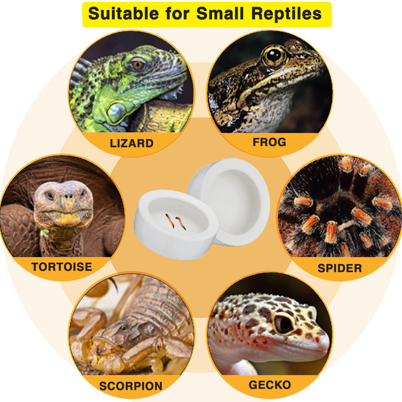 2Pcs Mini Reptile Food Dish Bowls Worm Water Dish Feeder Lizard Gecko Ceramic Pet Bowls with Tongs for Tortoise Lizard Bearded Dragon Frog Leopard Gecko Snake Chameleon(Small, 1.9 Inch) - BeesActive Australia