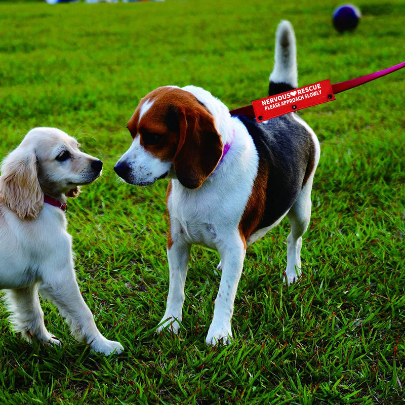 Funny Dog Leash Sleeve Nervous Rescue Please Approach Slowly Dog Leash Wrap Wrap Alert Hanging Id Patch Tag Approach Slowly-Sleeve - BeesActive Australia
