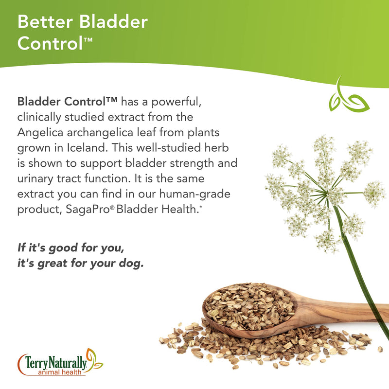 Terry Naturally Animal Health Bladder Control - 30 Capsules - 100 mg Angelica - Bladder Health & Urinary Tract Support for Dogs - Non-GMO, Canine Only - 30 Servings - BeesActive Australia