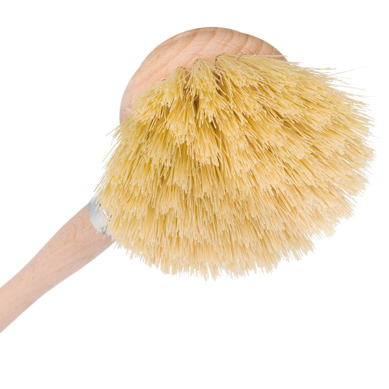 2 Pack REDECKER Tampico Fiber Bristle 2-Inch All-Purpose Kitchen Dish Scrub Brush with Beechwood Handle, Bamboo Dish Brush Alternative, Perfect for Pots, Pans, and Kitchen Utensils, Made in Germany 2-Inches - BeesActive Australia