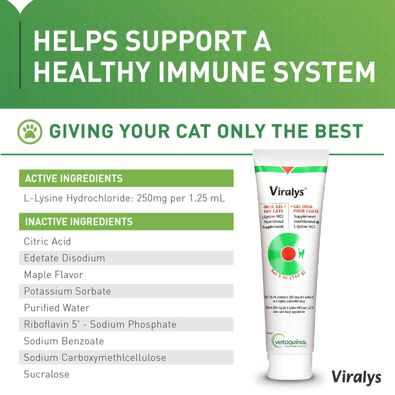 Vetoquinol Viralys Gel L-Lysine Supplement for Cats, 5oz - Cats & Kittens of All Ages - Immune Health - Sneezing, Runny Nose, Squinting, Watery Eyes - Palatable Maple Flavor Lysine Gel 5 oz - BeesActive Australia