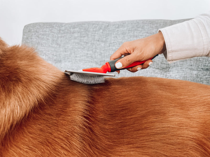 Tuff Pupper Slicker Dog Brush | Large Comb Head for Large & Medium Dogs | Pet Grooming Brush for Shedding Coat Fur | Gently Remove Tangled, Loose Undercoat and Mats Hair | Pet Grooming Brush Tool - BeesActive Australia
