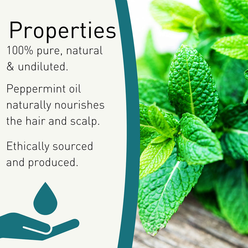 SENSOLI Peppermint Essential Oil 10ml - Pure and Natural Essential Oil for Aromatherapy and Diffusers 10 ml (Pack of 1) - BeesActive Australia