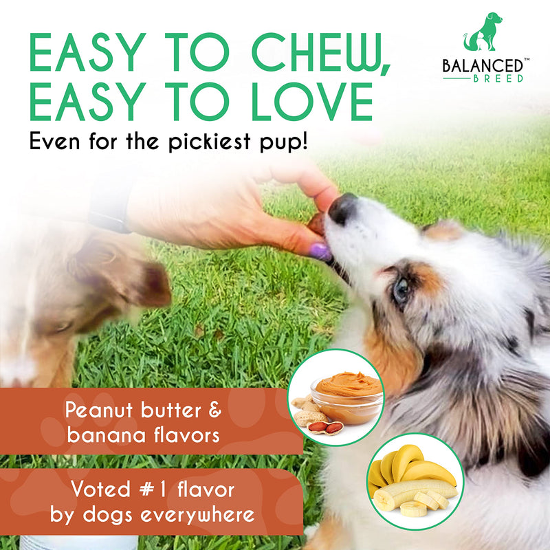 Balanced Breed Small & Large Dog Multivitamin Chewable w/ Glucosamine Dog Vitamins & Supplements Chondroitin MSM Hip & Joint Support Old Senior Health Salmon Oil Immune Booster Skin Heart Probiotics - BeesActive Australia