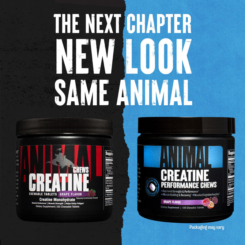Animal Creatine Chews Tablets - Enhanced Creatine Monohydrate with AstraGin to Improve Absorption, Sea Salt for Added Pumps, Delicious and Convenient Chewable Tablets - Grape - 120 Count - BeesActive Australia