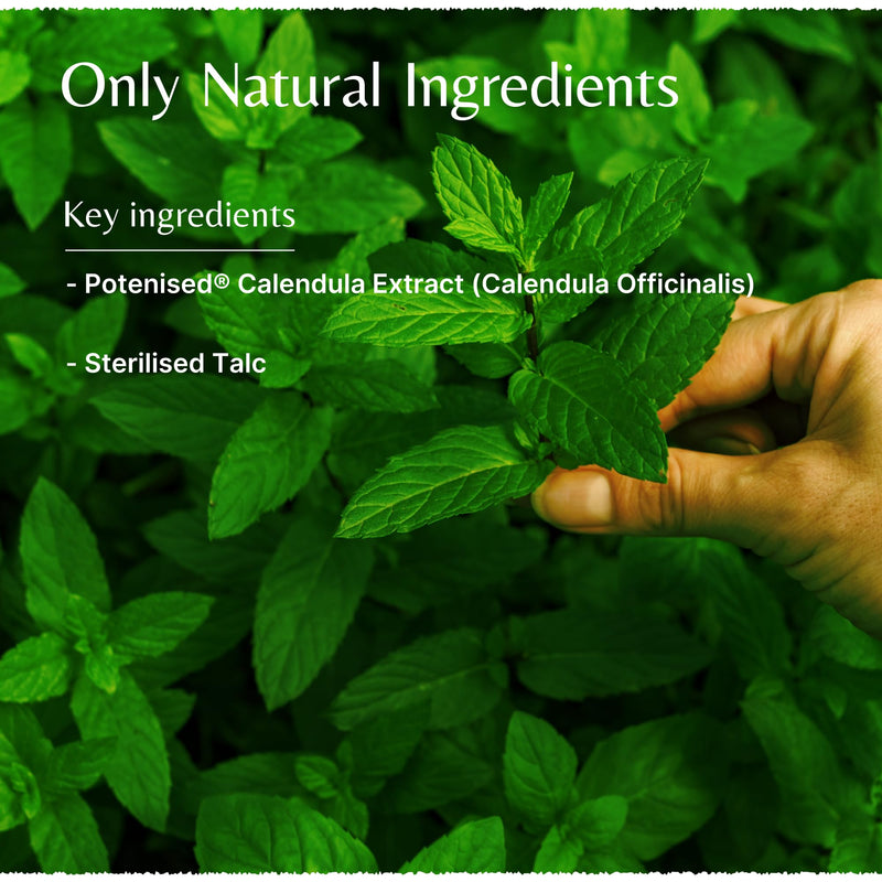 Mistry's Calendula Powder 150g - Natural Plant Based Powder for Wounds and Skin Irritation - Additive Free, Vegan - BeesActive Australia