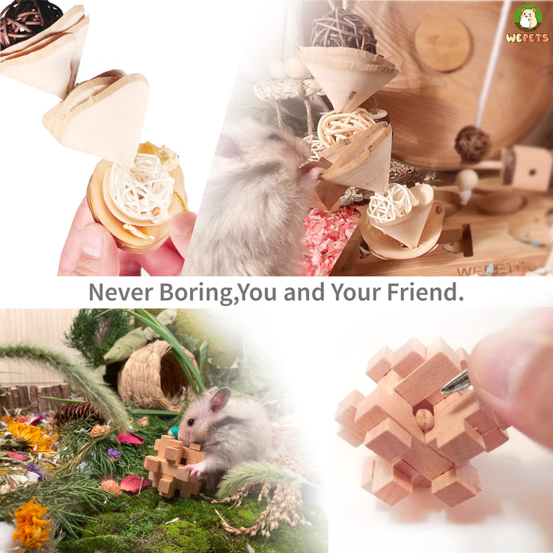 Wepets Hamster Toys, for Hamster, Gerbils, Mice, Rats and Other Small Animals to Chew and Play with, Induce Them to Grind Their Teeth, Reduce Depression. Pattern-D - BeesActive Australia