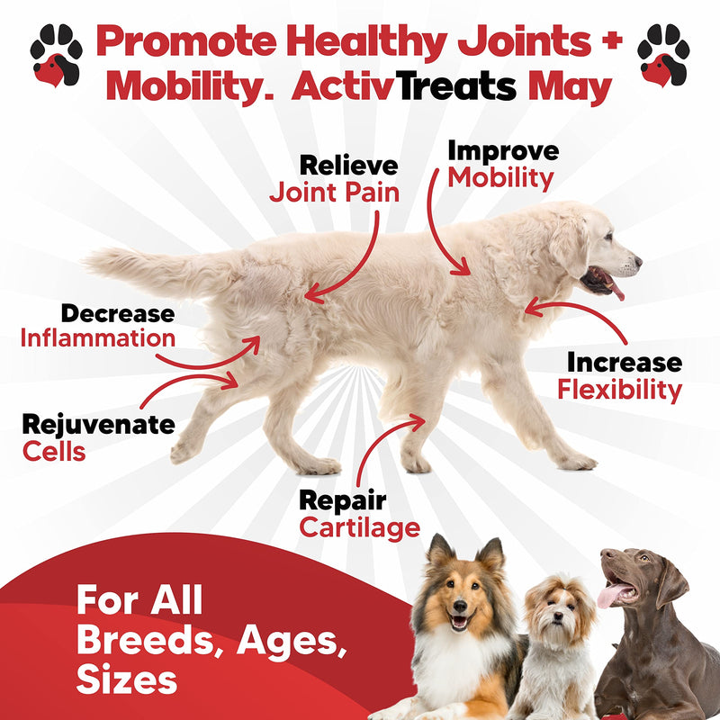 Glucosamine for Dogs Hip and Joint Supplement - Safe Joint Support for Dogs - Natural Dog Joint Supplement with Glucosamine Chondroitin MSM Turmeric - 120 Dog Arthritis Pain Relief Chews ActivTreats Chicken - BeesActive Australia