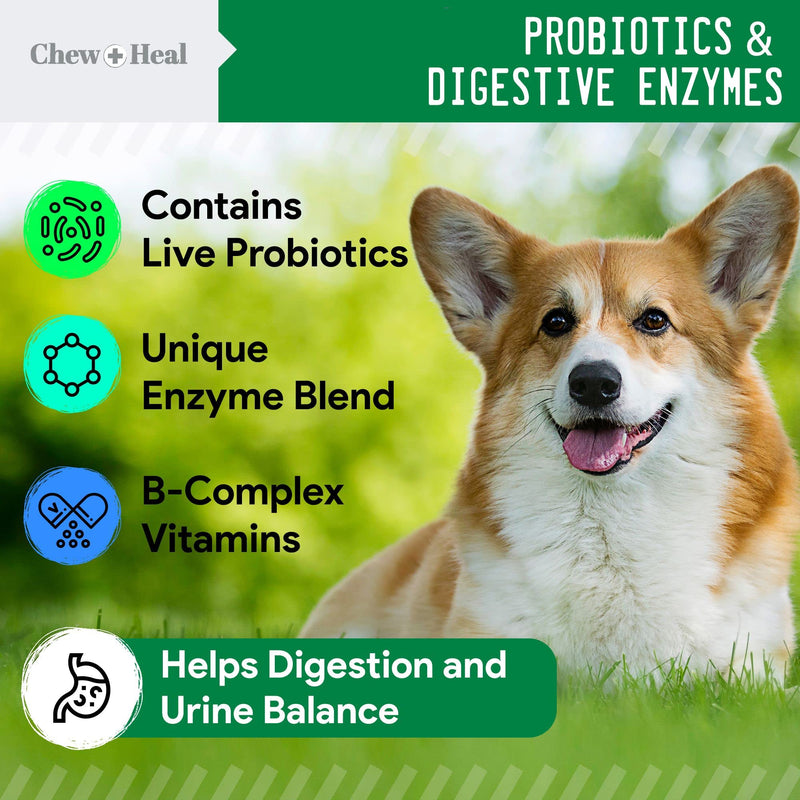Chew + Heal Dog Lawn Saver, 120 Soft Chews - Reduces Yellow Spots and Burns on Grass from Urine - BeesActive Australia