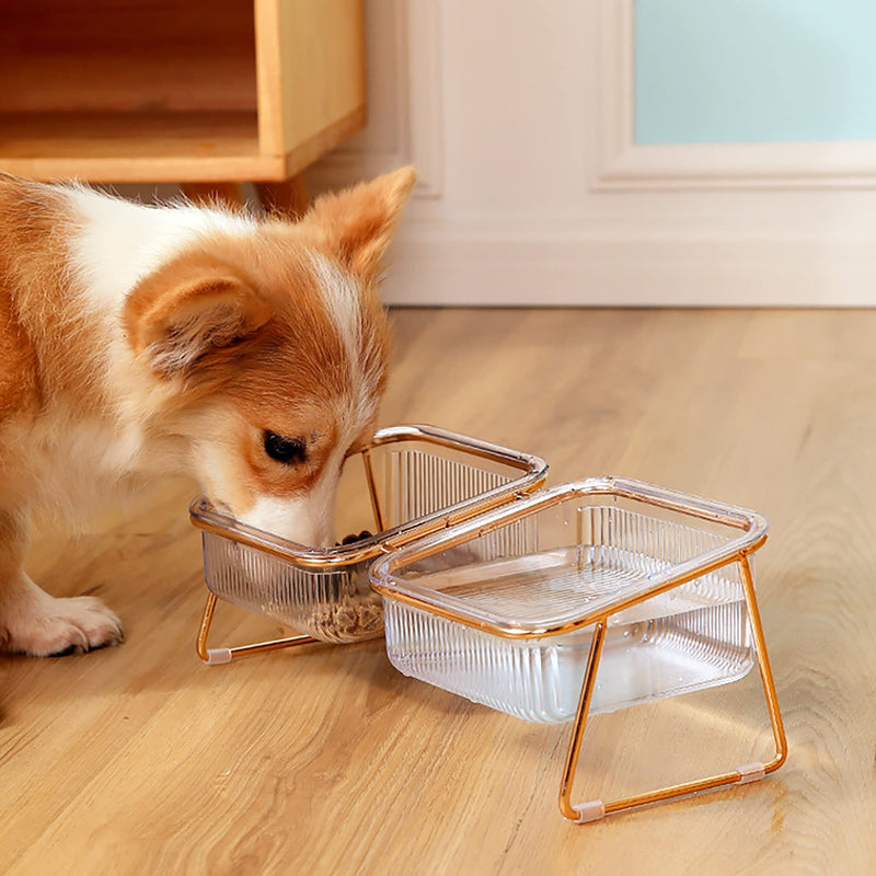 Elevated Cat Bowls, 5.5 inches Food & Water Bowls 15° Tilted Raised Food Feeding Dishes with Iron Stand for Cats and Puppy , with 2 Large Bowl and 4 Anti Slip Feet, Dishwasher Safe - BeesActive Australia