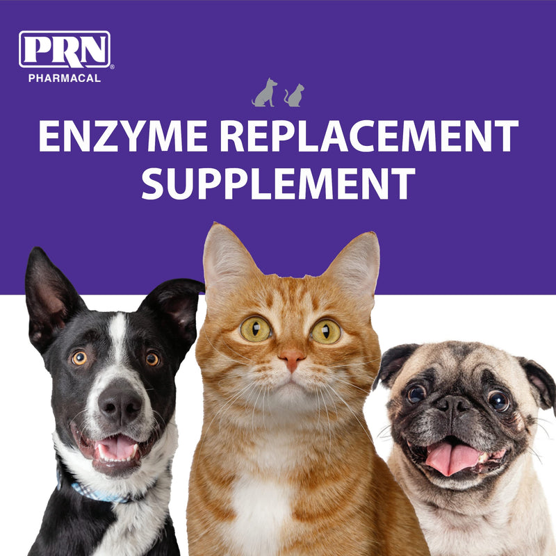 PRN Pharmacal ProZyme Original Formula Enzyme Replacement Supplement - Reinforces Animal's Digestive System, Supports Dog & Cat Food Breakdown - Promotes Pet's Digestive Health - 454 g, 1 lb Bottle - BeesActive Australia