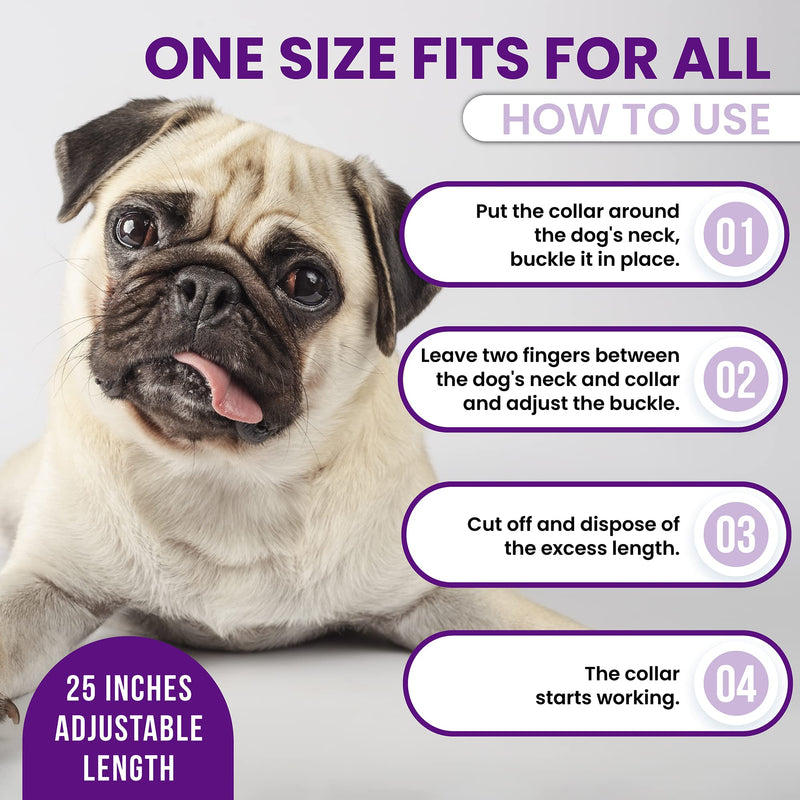 3 Pack Calming Collar for Dogs, Dog Anxiety Relief, Pheromone Dog Calming Collars, Breakaway Dog Collar, Dog Calm Collar, Separation Anxiety Relief for Dogs, Reduce Dog's Anxiety and Stress - BeesActive Australia